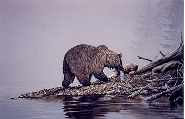 Misty Shore - Kodiak Bear by Michelle Mara